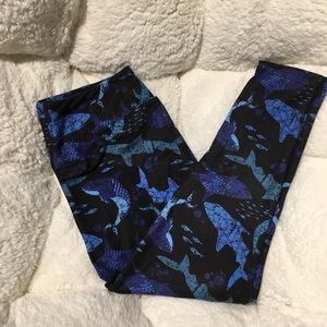 Shark Leggings
